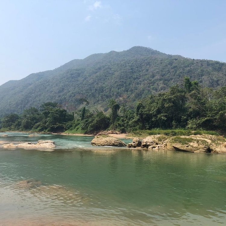 Archaeology Magazine tweet media