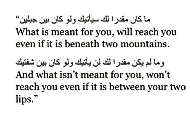 أمثال عالمية (@worldprov) on Twitter photo 