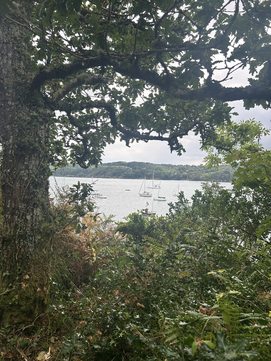 Helford River from Glendurgan…. #kernow #home #staycation