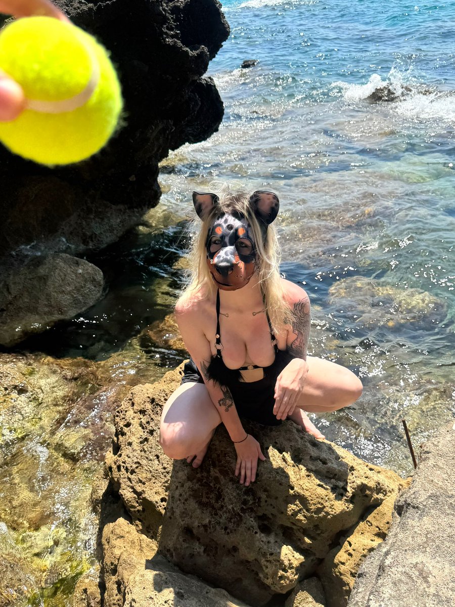 ShuckHyena's tweet photo. stop teasing &amp; throw it pls pls pls 🐾 https://t.co/WaEGF3pZNy