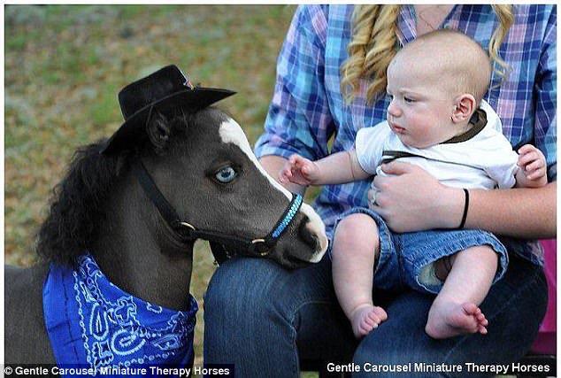 When you are mean to me, this is who you're being mean to