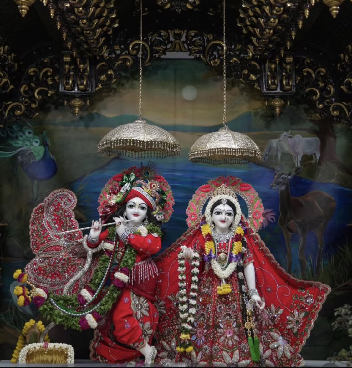 प्रबोध मिश्र (परिवार का बंधन अटूट ) (@prabodhmishra4) on Twitter photo राधे राधे 🚩🌹🙏
आप सभी मित्रों को 🚩🌹🙏
शुभ रात्रि 🌹🚩🙏 राधे राधे 🚩🌹🙏
आप सभी मित्रों को 🚩🌹🙏
शुभ रात्रि 🌹🚩🙏