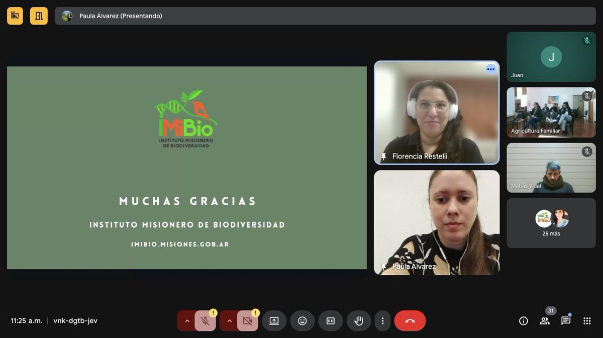 Instituto Misionero de Biodiversidad (@imibiomisiones) on Twitter photo 🍄Desde el #IMiBio hoy desarrollamos el Taller virtual "Cultivo de hongos comestibles". De la mano de la Biol. Florencia Restelli y la Ing. en  Alimentos, Paula Álvarez, disertamos sobre métodos de cultivo, procesamiento y comercialización de hongos comestibles en Misiones. 🍄Desde el #IMiBio hoy desarrollamos el Taller virtual "Cultivo de hongos comestibles". De la mano de la Biol. Florencia Restelli y la Ing. en  Alimentos, Paula Álvarez, disertamos sobre métodos de cultivo, procesamiento y comercialización de hongos comestibles en Misiones.