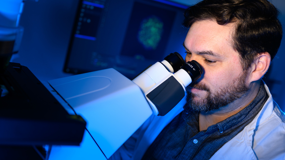 How does a brain develop inside an embryo? NC State scientist Eric Brooks has found that cells perform a complicated dance to determine locations and function. Now, he and colleagues have created a cellular atlas to study this delicate part of development. news.cvm.ncsu.edu/nc-state-scien…