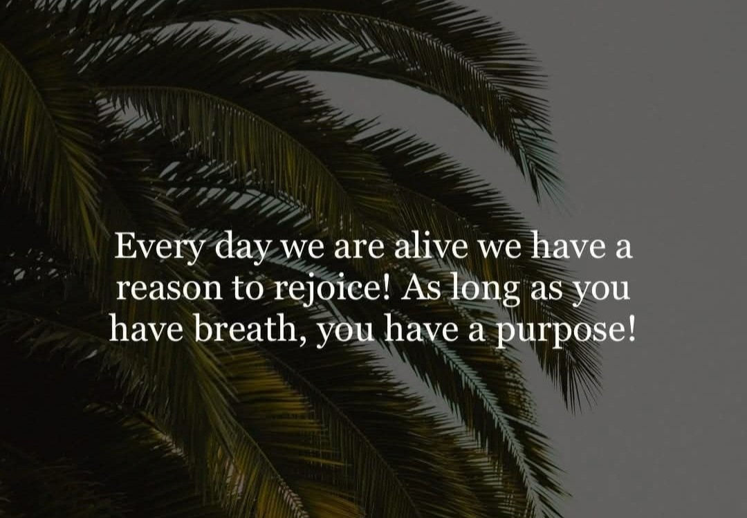 LindaODellAuthor (@letters4thelord) on Twitter photo 