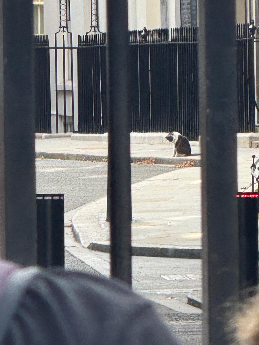 Rachel Croft tweet media