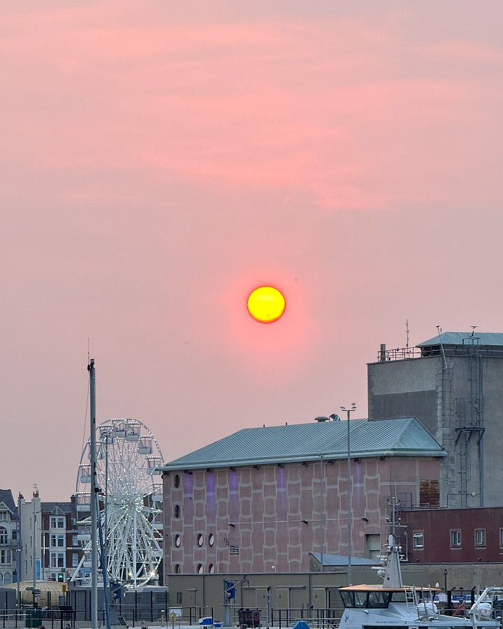 August photo dump 📸💖