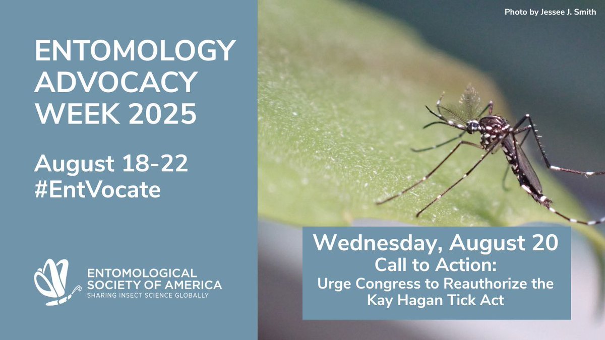 It's #WorldMosquitoDay—and Day 3 of Entomology Advocacy Week! Today entomologists are urging Congress to reauthorize the Kay Hagan Tick Act to address vector-borne diseases carried by ticks &amp; other blood-feeding vectors like mosquitoes. Send your message: buff.ly/jnfX4bc