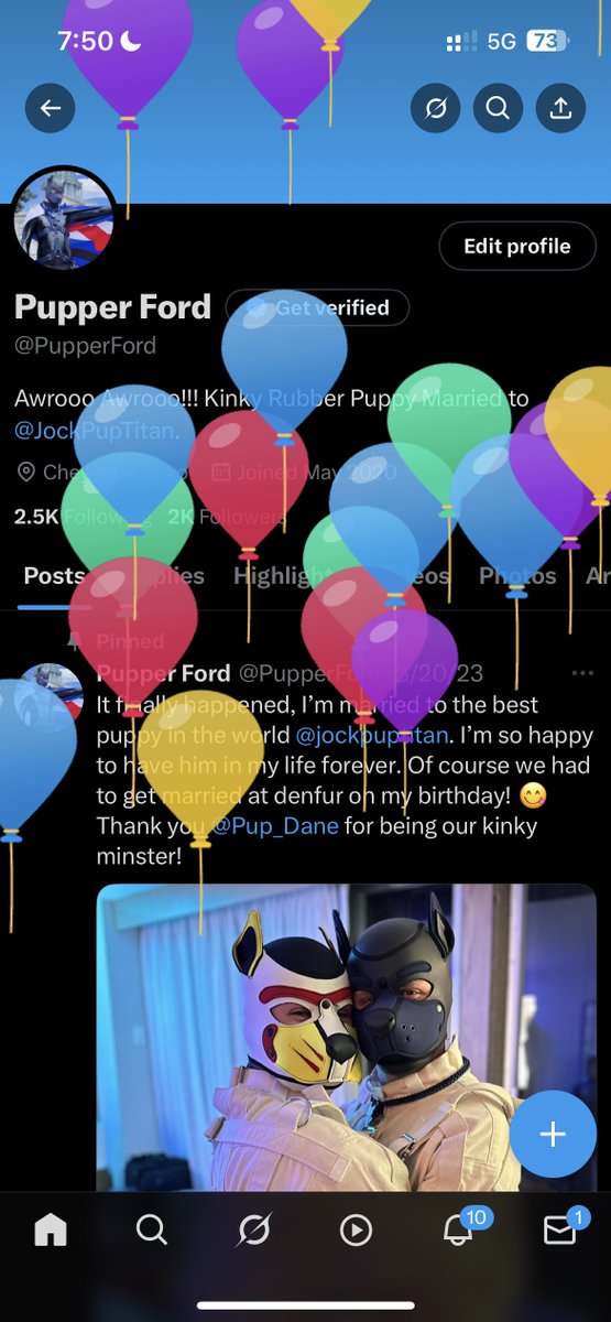 Pupper Ford tweet media