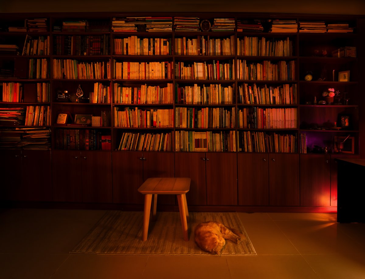 صومعتي ..
والحبيب واخذاه الغفوية. 😊

ــــــــ
Canon 5D Mark II
EF 24-70mm f/2.8L