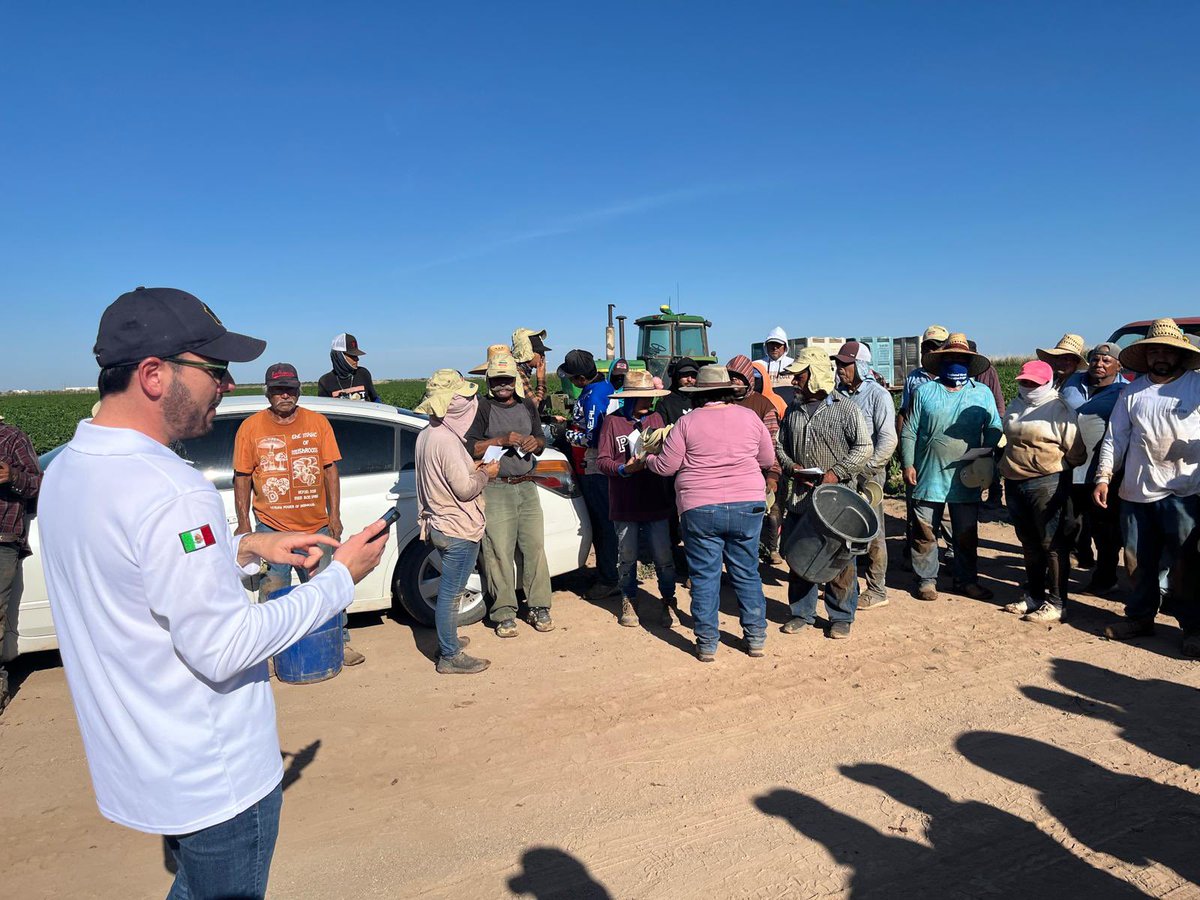 ConsulmexElPaso's tweet photo. En el marco de la #SALE, el equipo de #ProtecciónConsular se encuentra en los campos agrícolas en #Deming, NM, para dialogar con la #ComunidadMexicana sobre el tema “#ConoceTusDerechos” y dar a conocer los servicios que el Consulado ofrece a las y los trabajadores agrícolas. https://t.co/SW0ufGzna5