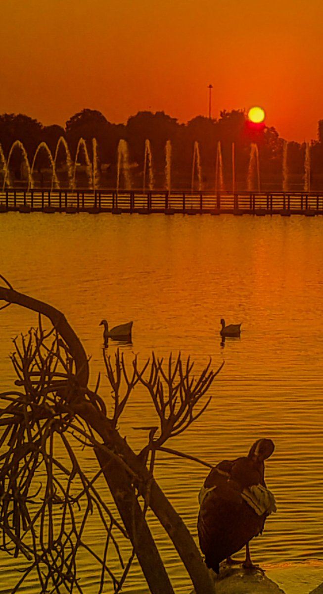 Good evening !!❤️🤍💚
A sunset pic for today !!
Happy wednesday.
📸Zmed.