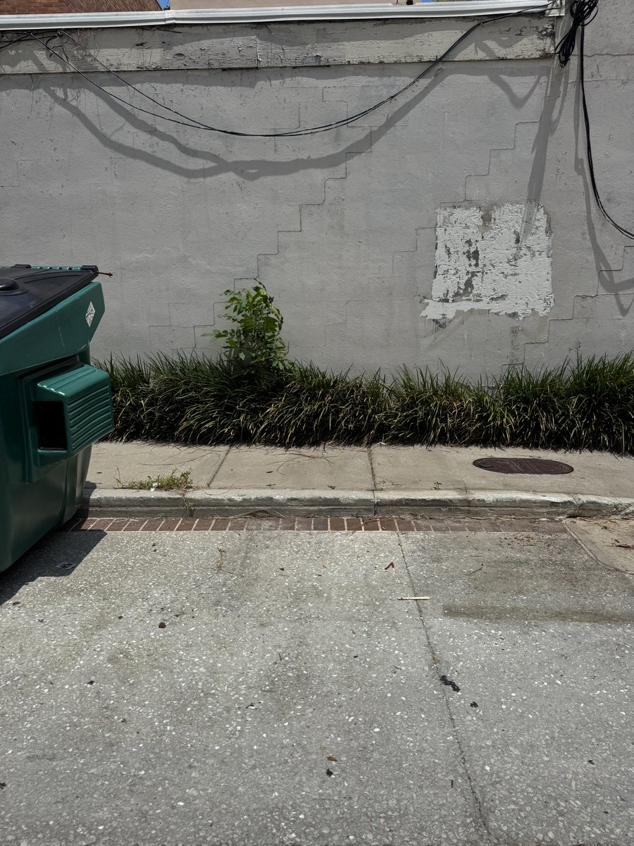 BDJunkremoval's tweet image. Swipe to Clean: Small Pallet Pickup
Make Junk and Clutter disappear like magic✨

🐾Black Dog Junk Removal
📍Charleston, SC
☎️843-920-JUNK (5865)

#JunkRemoval #CleanOutCrew #DeclutterYourLife #SwipeToClean #BeforeAndAfter #JunkBeGone #TidyTransformation #ClutterFree #lowcountry