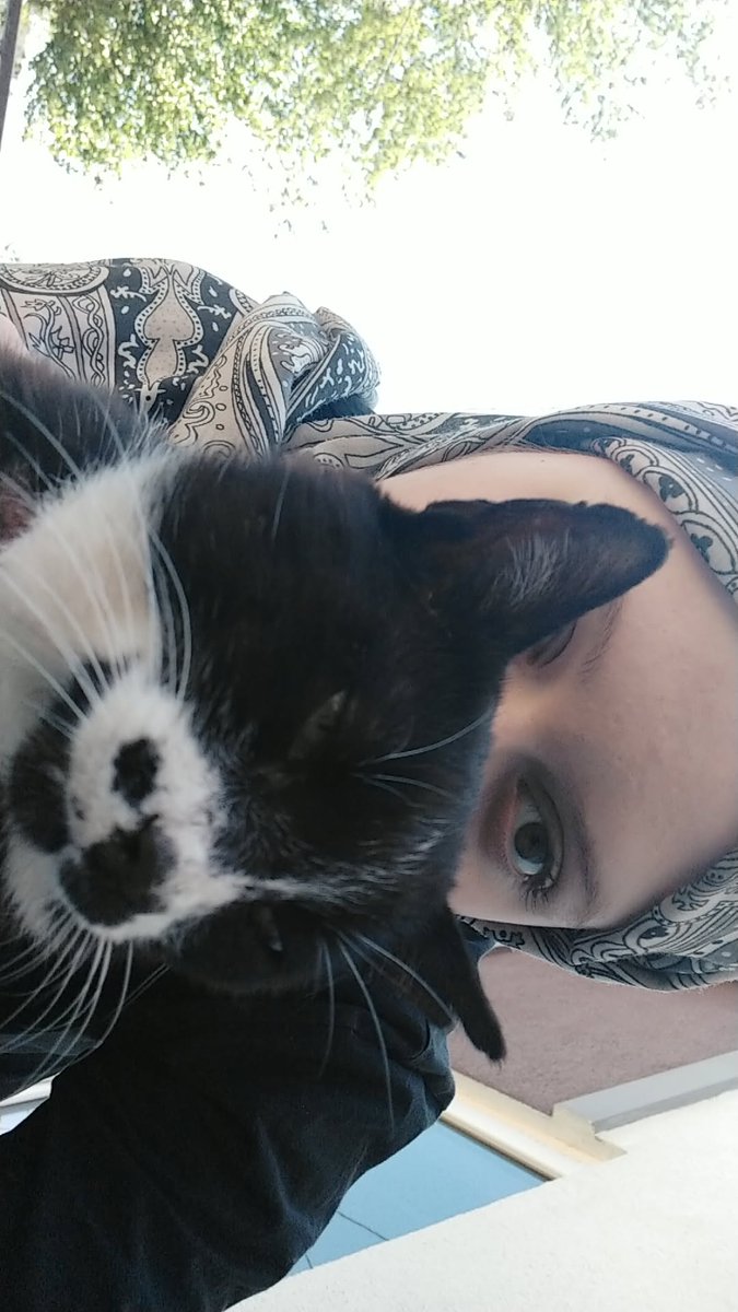 file badem tweet media