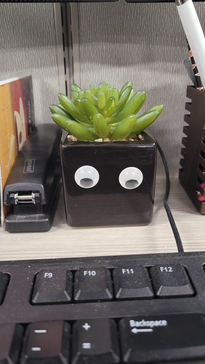 LIL SUCC!!!

#EndlessMonday