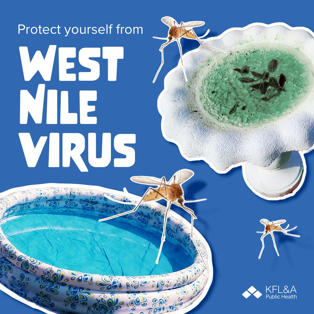 Don't let mosquitoes🦟 BUG🦟 you this summer! Remove sources of standing water from your property where mosquitoes can lay their eggs, and help prevent the spread of West Nile Virus in the region.