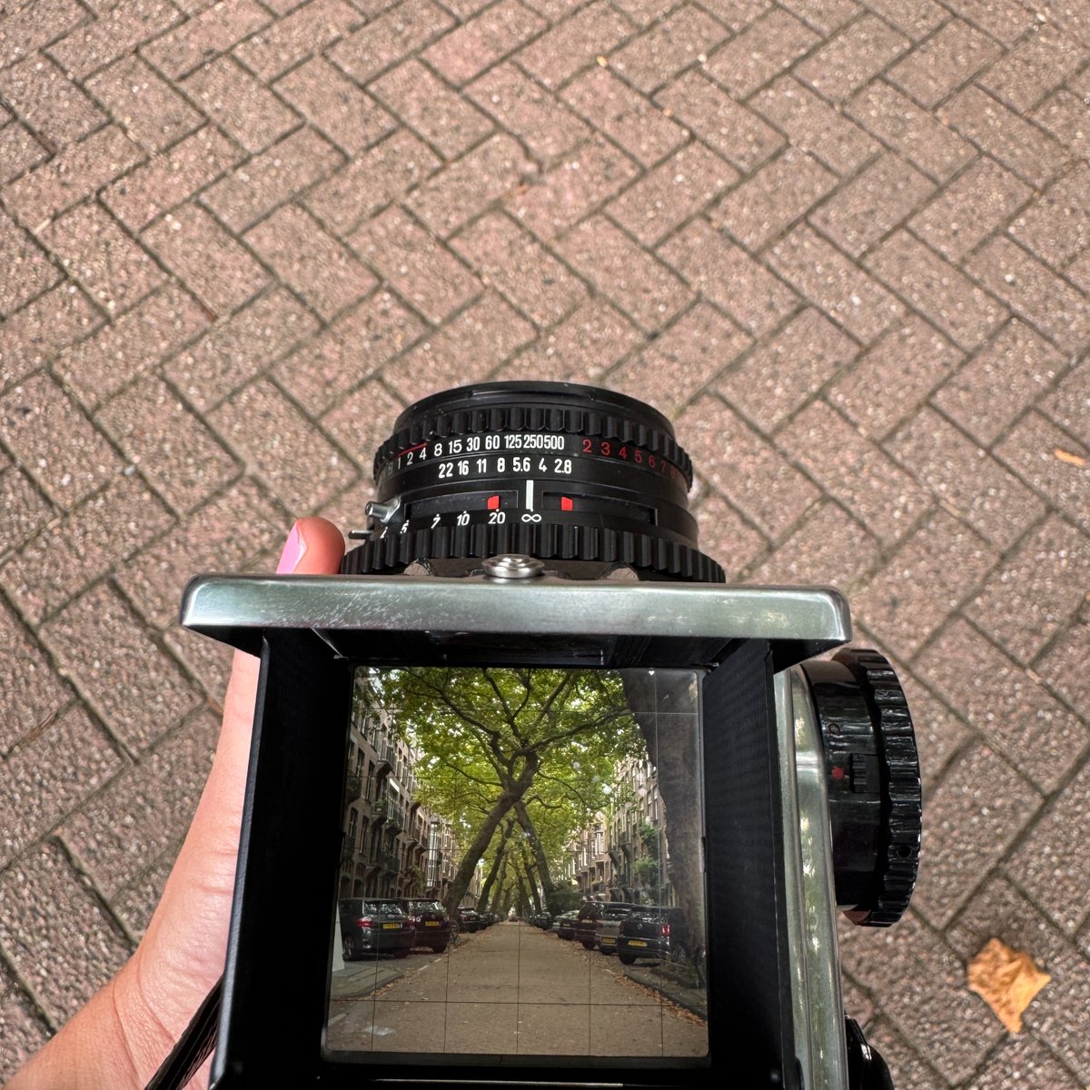 Me compré uno de estos mamotretos y ahora, además de renegar para encuadrar, cada foto que le saque a mis gatas me va a costar más de 2€