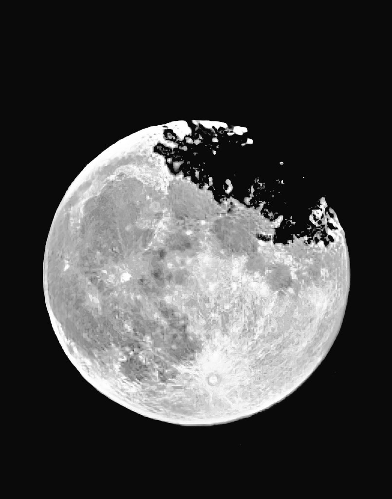 ADriftingNerd's tweet image. Happy #WorldPhotographyDay