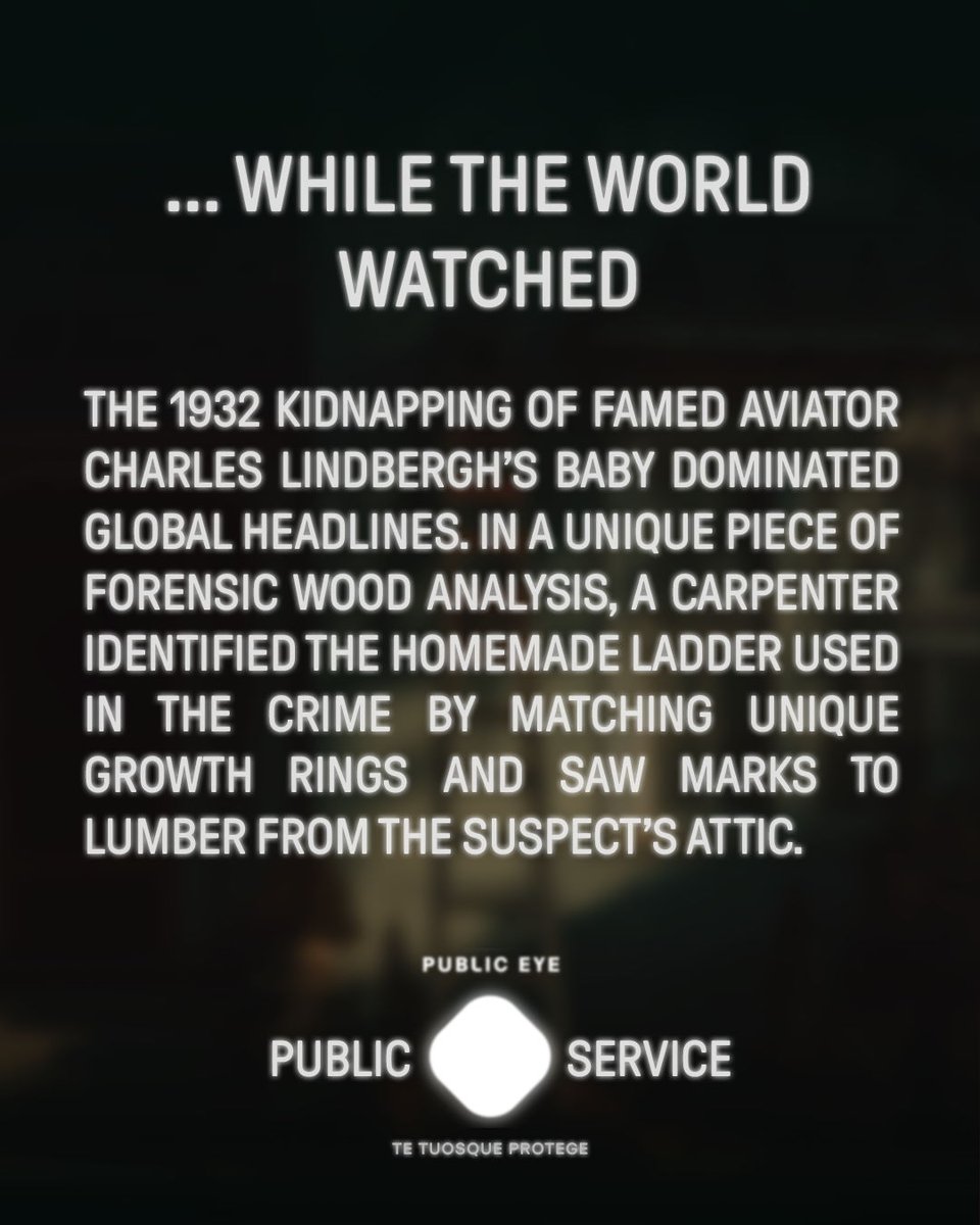 PublicEyeHQ's tweet photo. INFORM: A homemade ladder brought a man down while the world watched.
✦
Outwit a killer at https://t.co/5O6zavIvGA
✦
#publiceyegame #dailypuzzle #crimefacts https://t.co/x9oo5UfiGS