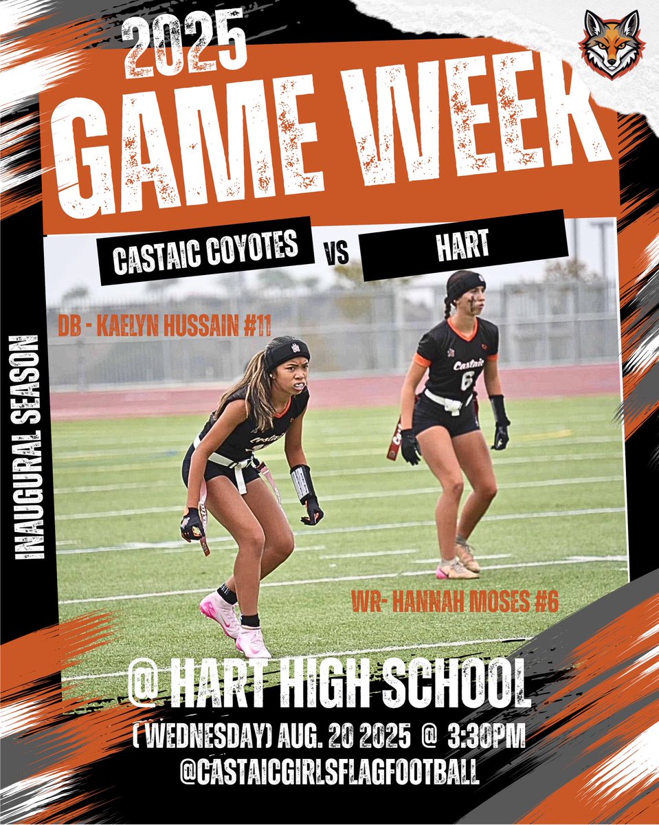 Game Day!!!
🧡🩶🖤🐾