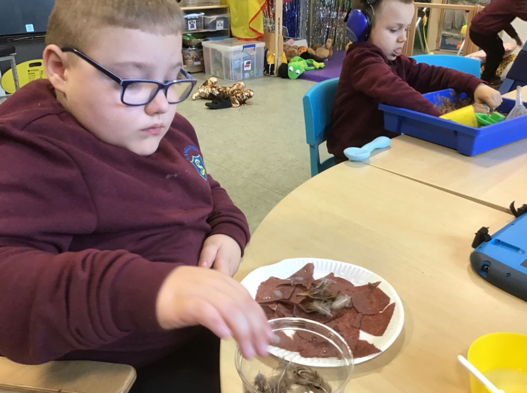 Braidcraft class have been making owls to put on the birthday tree in the class so that they know when to celebrate everyone’s birthday. The pupils engaged well and are increasingly independent in pressing down the tissue paper. Well done, everyone!