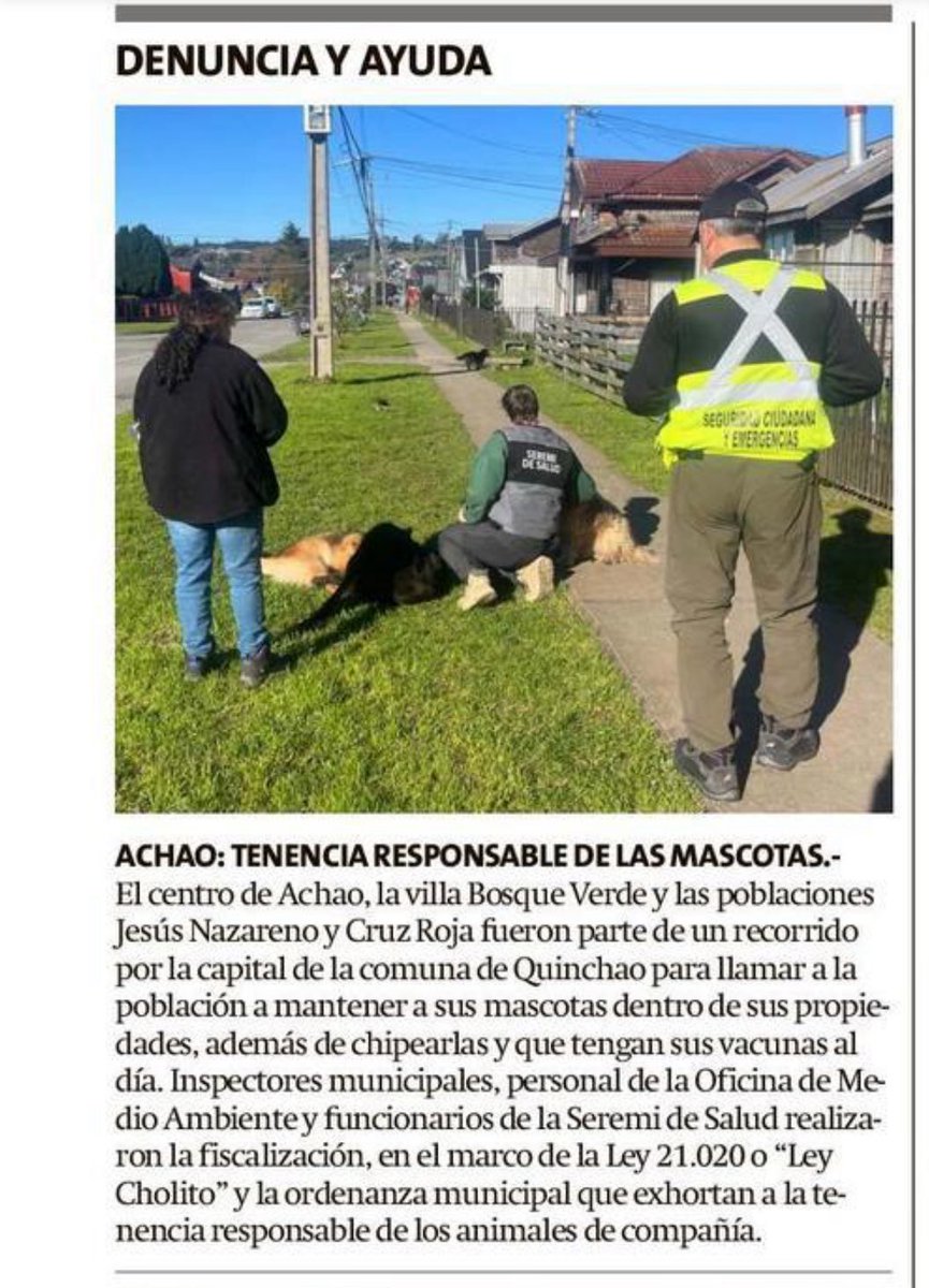 MuniQuinchao (@muniquinchao) on Twitter photo 