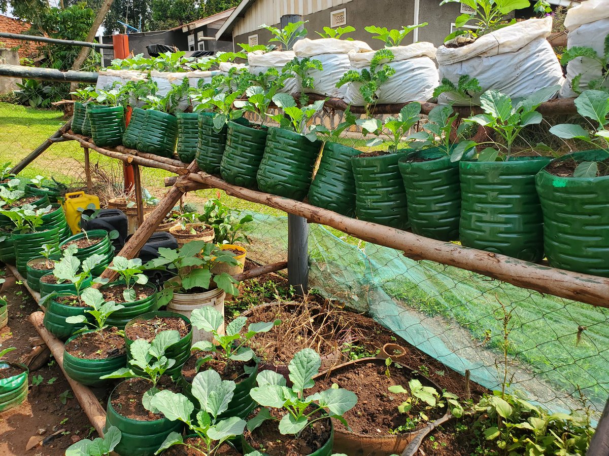 Footmarks Initiative Uganda (FIU) tweet media