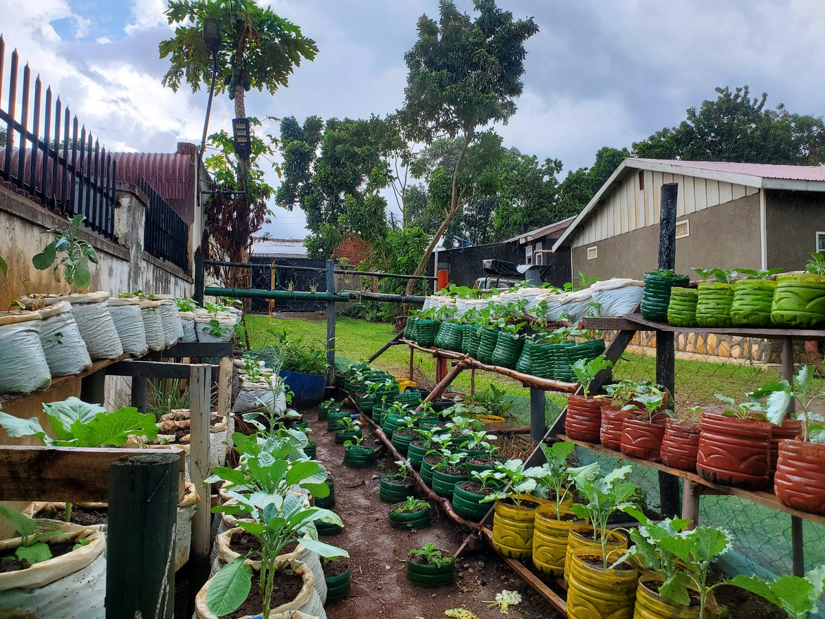 Footmarks Initiative Uganda (FIU) tweet media