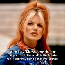 Does anyone just quote the Spice World movie daily and your friends have no idea what you’re on about? Do you ever think about manta rays?