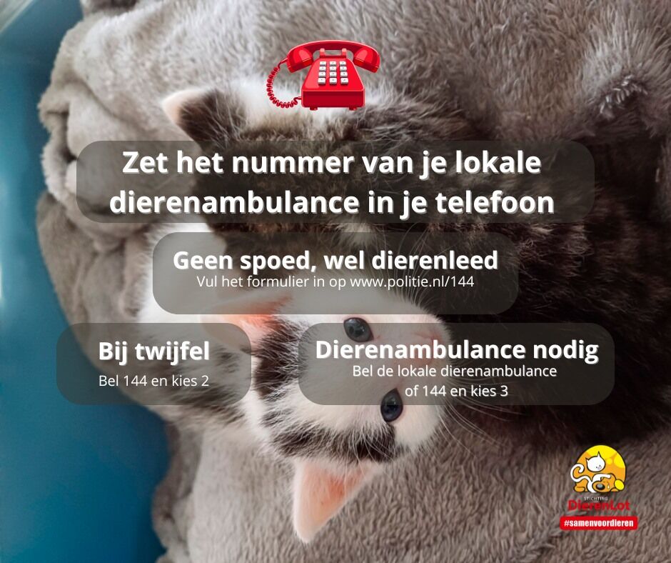Stichting DierenLot (@dierenlot) on Twitter photo 144 Red een dier!
Maar zet nu al óók het nummer van je eigen lokale/regionale #dierenambulance in je telefoon!
Als je je nu even voorbereidt scheelt dat kostbare tijd bij noodsituaties!
Twijfel je? Neem dan altijd contact op met 144.
<a href="/Meldpunt144/">Meldpunt 144</a> #politie <a href="/DierenpolitieOB/">Dierenpolitie Oost-Brabant</a> 144 Red een dier!
Maar zet nu al óók het nummer van je eigen lokale/regionale #dierenambulance in je telefoon!
Als je je nu even voorbereidt scheelt dat kostbare tijd bij noodsituaties!
Twijfel je? Neem dan altijd contact op met 144.
<a href="/Meldpunt144/">Meldpunt 144</a> #politie <a href="/DierenpolitieOB/">Dierenpolitie Oost-Brabant</a>