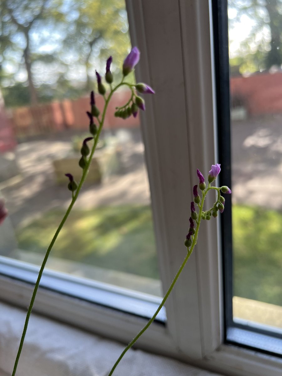 Robyn Webber tweet media