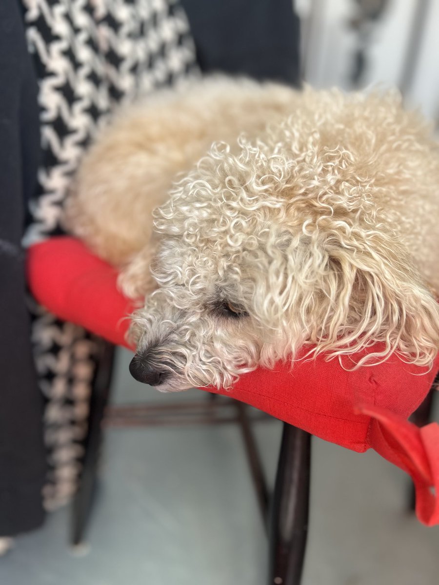 Art studio partner in crime