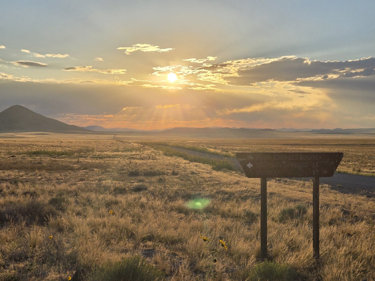 JT Long (@edgelands_) on Twitter photo 