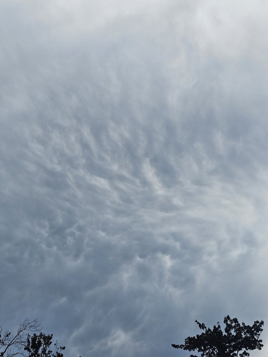 Im just going to start naming new clouds i see lol. They just make up new ones anyway to make them seem normal.