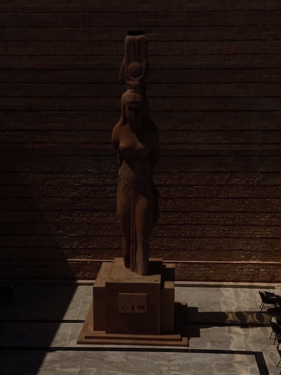 Shefaa El-Bosily (@ahmed_shef52390) on Twitter photo 