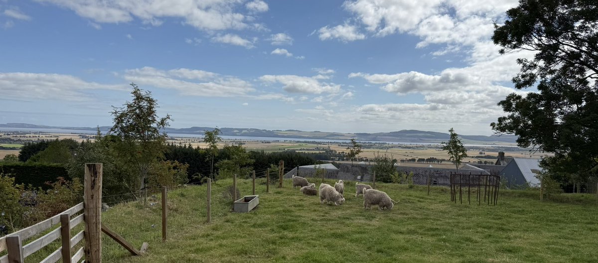 philip_skuce's tweet photo. Interesting day discussing Integrated Pest Management with the irrepressible ‘regen vet’, @DrDoWhittle!💩 🪲 Fab venue @Guardswellfarm, great views across the silvery Tay to Dundee! 👍Thanks @SoilAssociation & @NFFNUK for organising! #SCOPS @COWSworms @MoredunComms @SEFARIscot https://t.co/miXKhRIphC