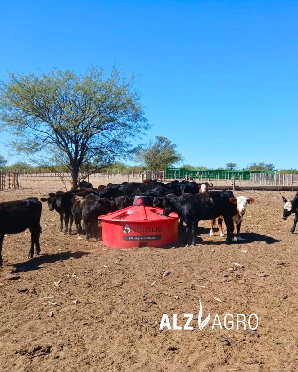 ALZ-Agro tweet media