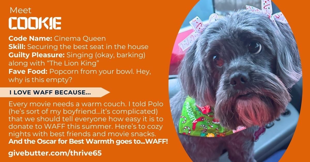 waffhelp's tweet photo. Cinema Queen Cookie says, “Every movie deserves a cozy couch.”
She and her bestie, Polo, support WAFF’s #Thrive65 campaign to help families stay warm. 🍿
Join Cookie at: https://t.co/2OdxjHvGXC https://t.co/3HB9aJhLDi