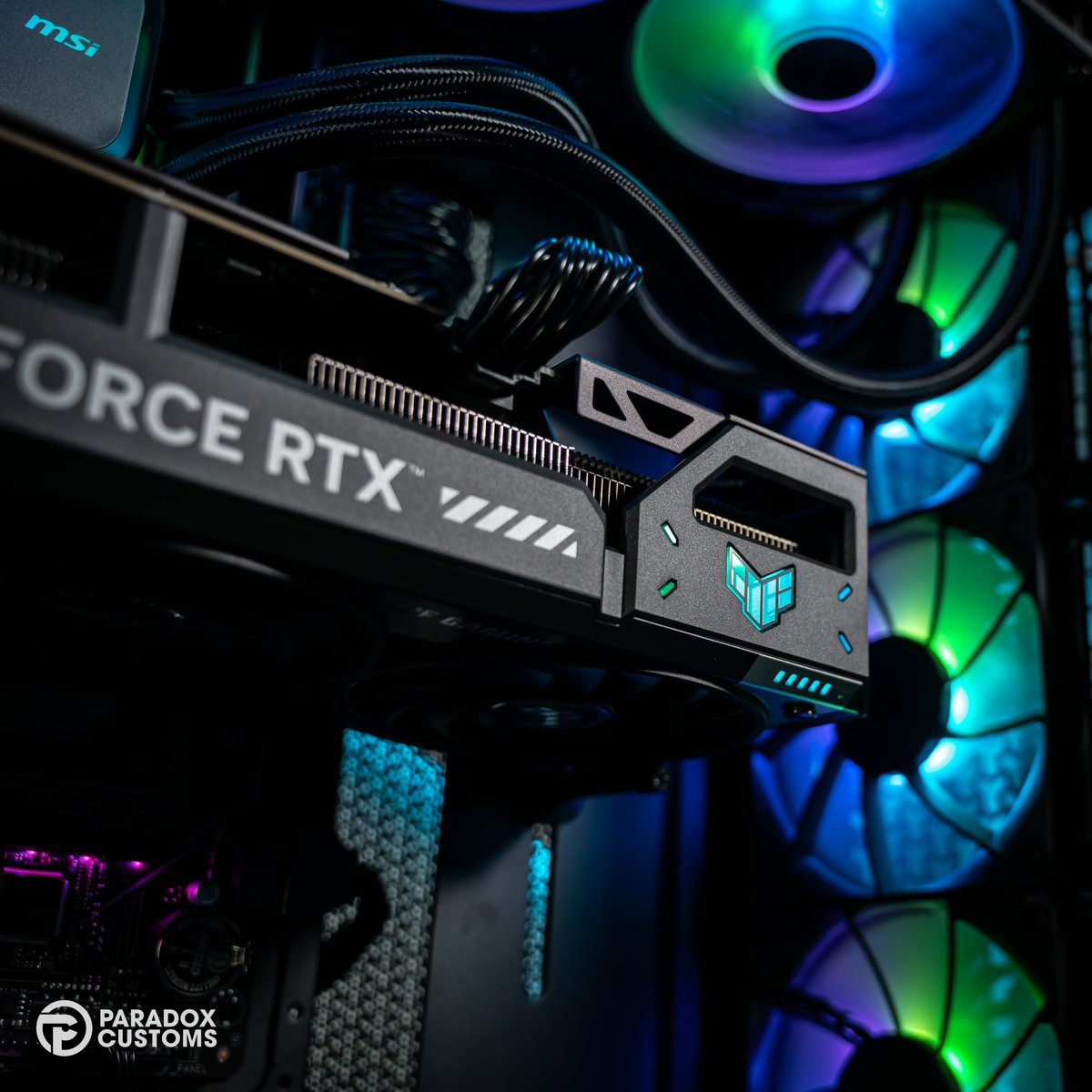 Paradox Customs tweet media