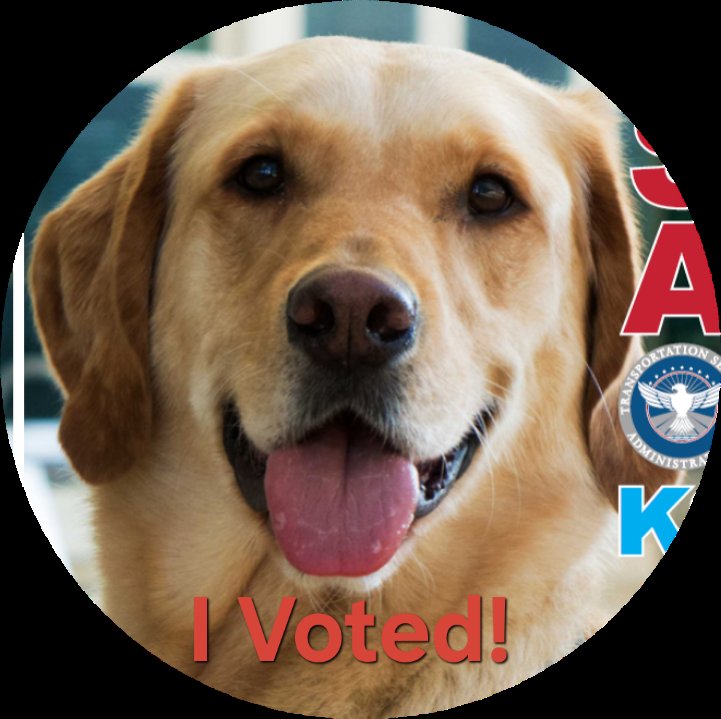 CATtheDrawer's tweet photo. This is the final vote for the crown! Please help Alex reach the top!

Vote on X, Insta, and Facebook! (links in replies)

This soon to retire pup has dedicated 10 years to his job. I want to see him win before he retires!

#workingdog #VoteForAlex #CutestCanine #Dog #puppy https://t.co/wSLgd4IPNd