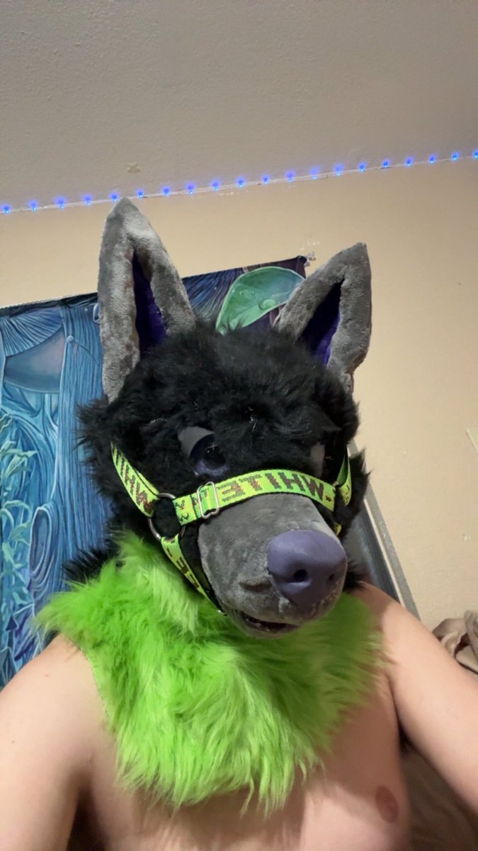 Rustypawws's tweet image. 😜😜