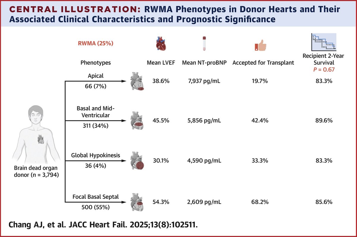 JACCJournals's tweet image. Assessment of #RWMA in donor hearts

Could this help inform increased use of donor hearts with RWMA and help alleviate scarcity in the donor pool? jacc.org/doi/10.1016/j.…

#JACCHF #HeartTx #HeartFailure