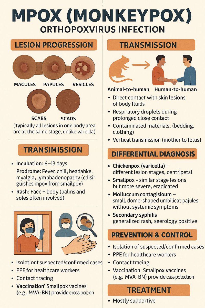 Monkey pox 🦠 

✨🫥✨