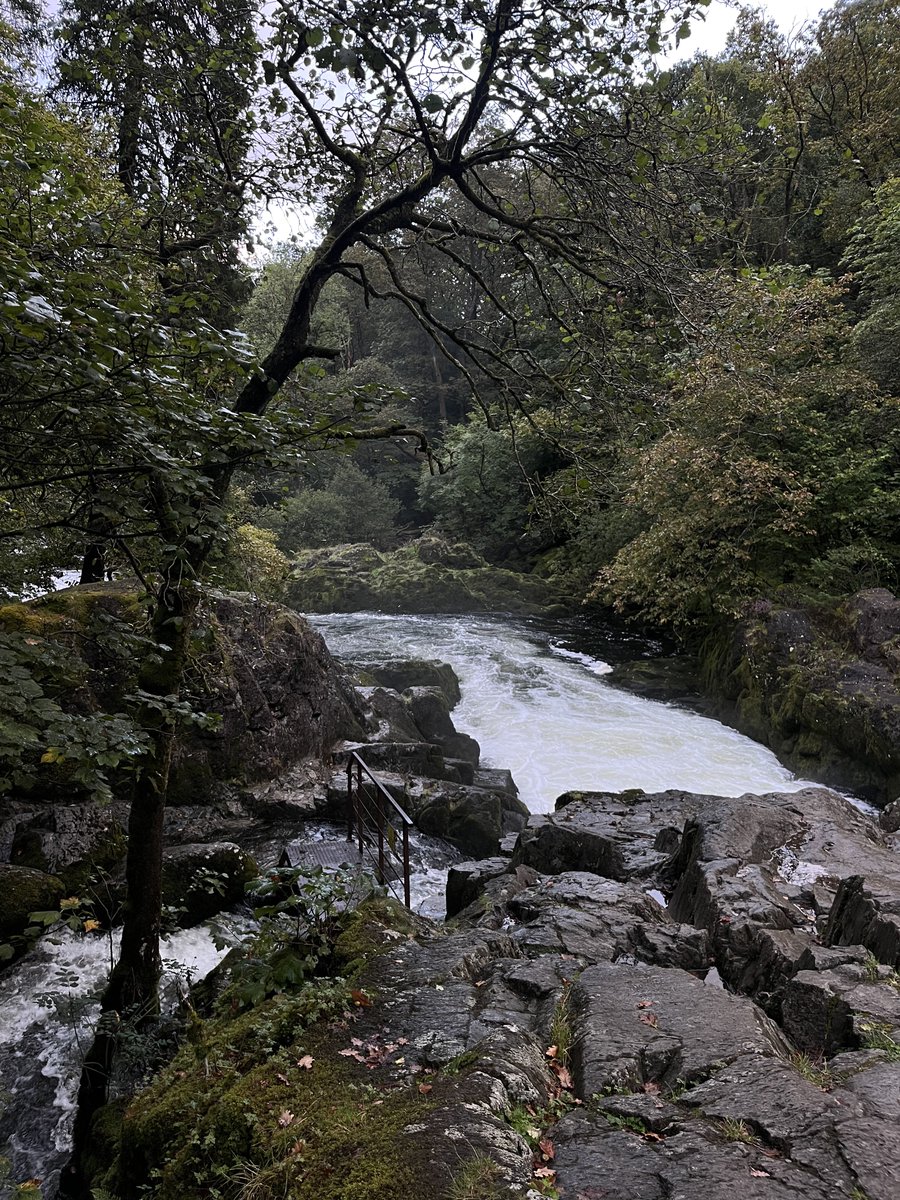 we are part of the earth and it is part of us