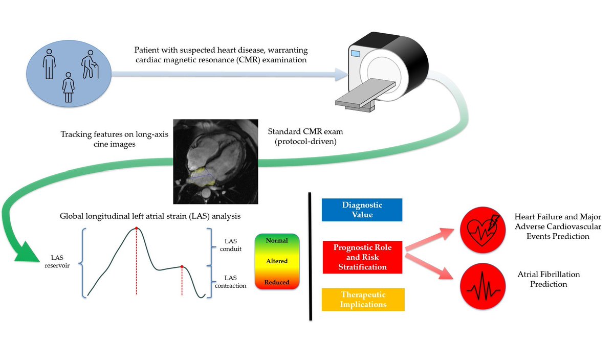 Axel Hiram Hdz (@axelhiram) on Twitter photo Brilliant review on atrial strain in CMR led by <a href="/JaviSolsona007/">Javier Solsona Caravaca</a> 👏👏👏
A must-read paper! Congrats to the whole team 🔝 <a href="/JRodriPalomares/">José F. Rodríguez Palomares</a> <a href="/NuriaVallejo4/">Nuria Vallejo</a> <a href="/Rbn_Fernandez/">Rubén Fernández</a> #WhyCMR #CardiacImaging #CardioTwitter doi.org/10.3390/jcdd12… Brilliant review on atrial strain in CMR led by <a href="/JaviSolsona007/">Javier Solsona Caravaca</a> 👏👏👏
A must-read paper! Congrats to the whole team 🔝 <a href="/JRodriPalomares/">José F. Rodríguez Palomares</a> <a href="/NuriaVallejo4/">Nuria Vallejo</a> <a href="/Rbn_Fernandez/">Rubén Fernández</a> #WhyCMR #CardiacImaging #CardioTwitter doi.org/10.3390/jcdd12…