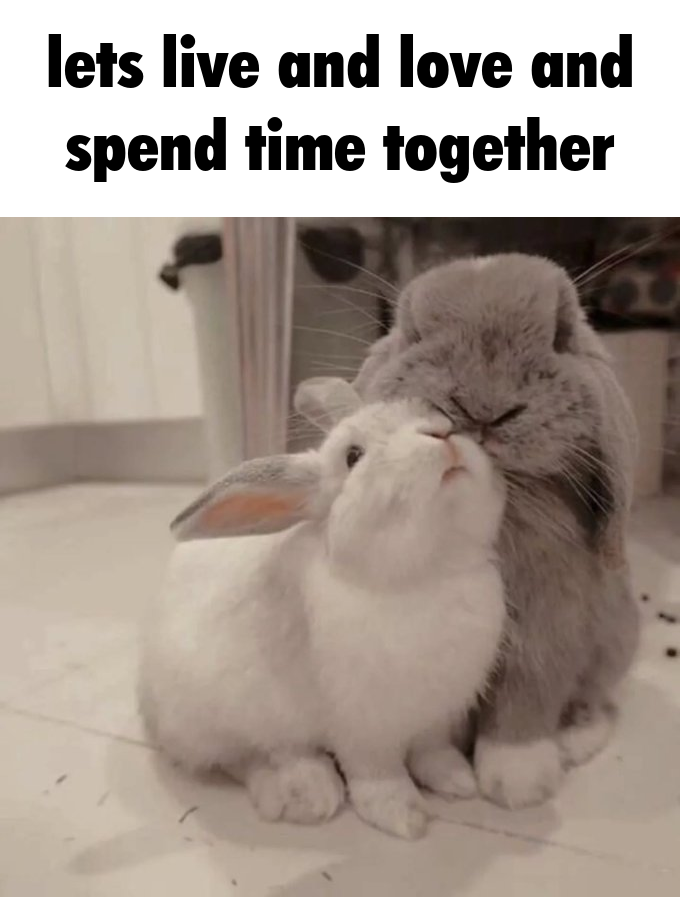 bunnyluvr__'s tweet photo. https://t.co/qvHN1qCLph