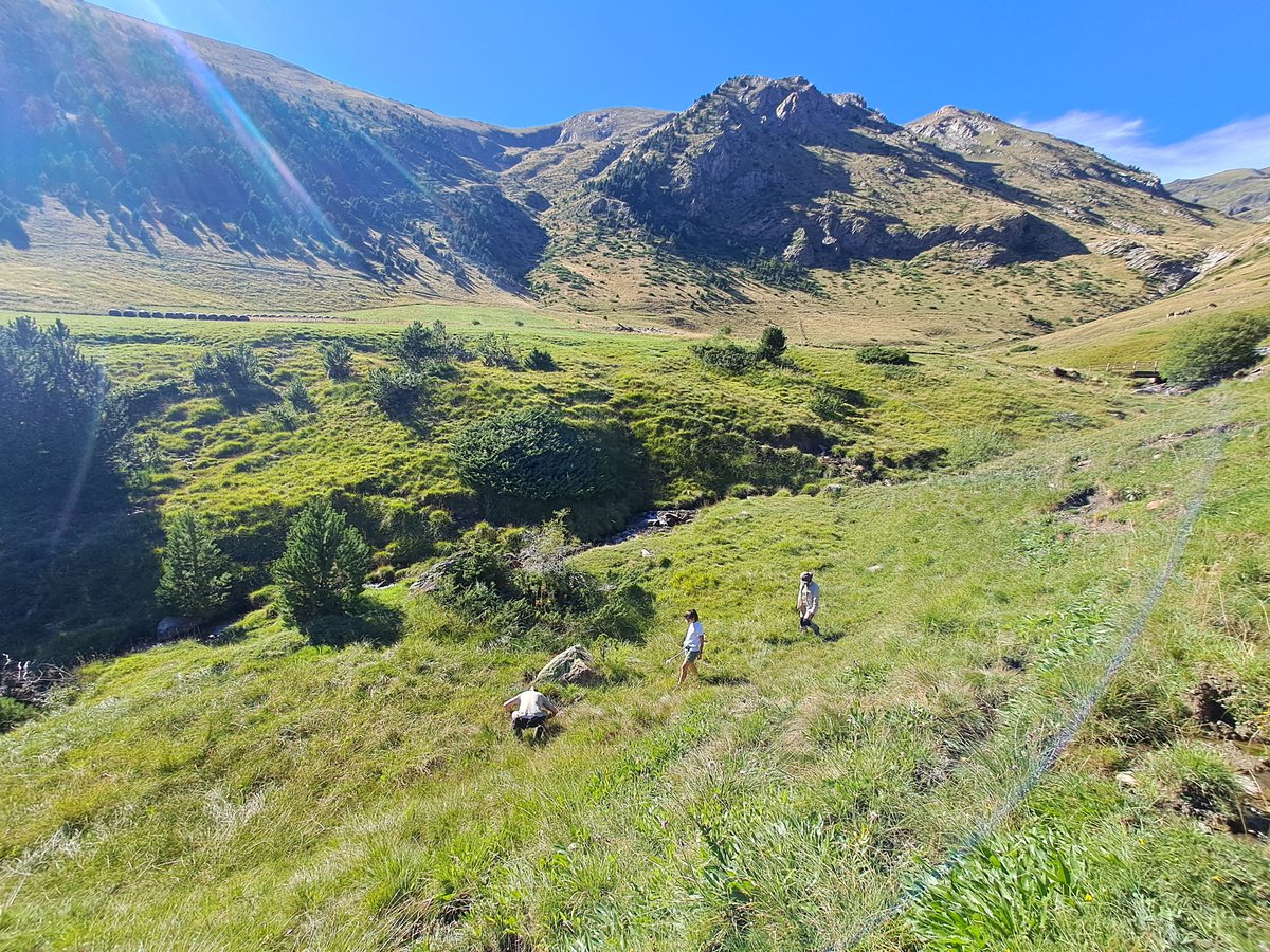 Control Mosquits Baix Llobregat (@mosquitsdelbaix) on Twitter photo Fent mostreig de larves de mosquits de molleres amb l'ARI d'Andorra en el projecte d'estudi de la culicidofauna andorrana. <a href="/CCBaixLlobregat/">Consell Comarcal del Baix Llobregat</a> <a href="/diba/">Diputació de Barcelona</a> <a href="/salutcat/">Salut</a> <a href="/GovernAndorra/">Govern d'Andorra</a> Fent mostreig de larves de mosquits de molleres amb l'ARI d'Andorra en el projecte d'estudi de la culicidofauna andorrana. <a href="/CCBaixLlobregat/">Consell Comarcal del Baix Llobregat</a> <a href="/diba/">Diputació de Barcelona</a> <a href="/salutcat/">Salut</a> <a href="/GovernAndorra/">Govern d'Andorra</a>