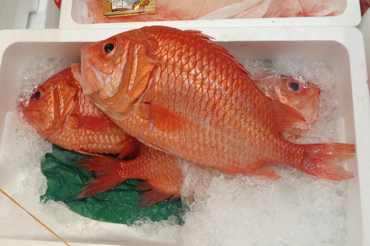 豊洲市場お魚玉手箱・月 豊洲市場お魚玉手箱・月 泉久食品株式会社 ホーム・IZUKYU