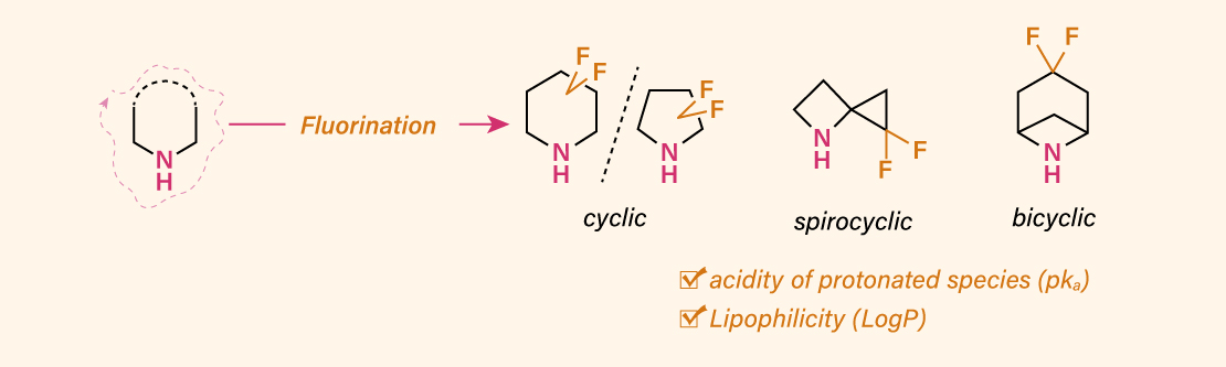 ambeedinfo's tweet photo. #AmBeed Recommend Products: gem-Difluoro Cyclic Amines🔎

By merging the metabolic prowess of saturated cyclic amines with the precise tuning of fluorine atoms (like CF₂), medicinal chemists create powerful scaffolds that optimize LogP, pKₐ, and target engagement.
👉click to view more: https://t.co/rjB68GoFIu