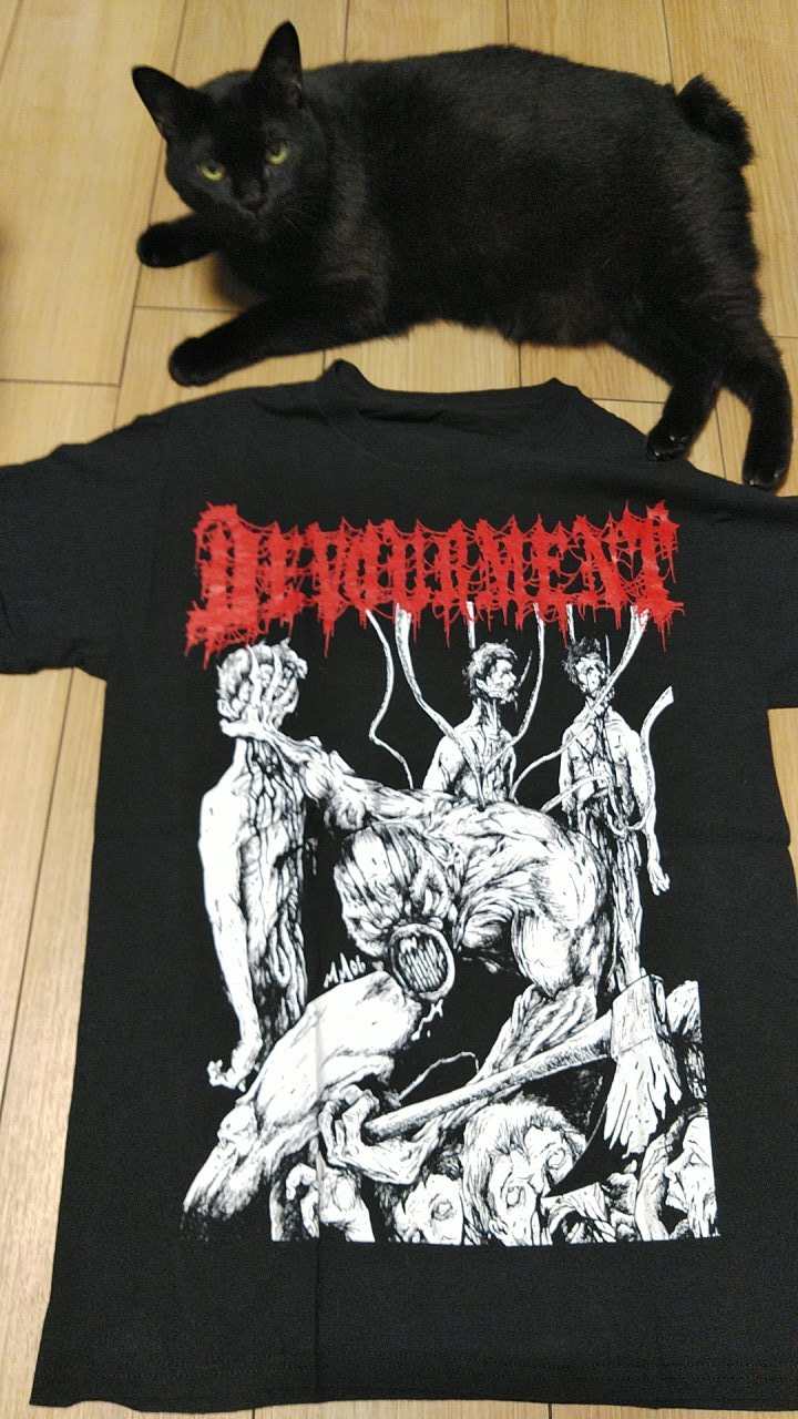 （36）◆Great Value◆Death Angelなどthrash系おまけ DEATH ANGEL / デス・エンジェル THE ULTRA-VIOLENCE（デス